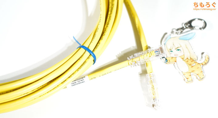 パンドゥイット製のCAT6A（UTP）ケーブル