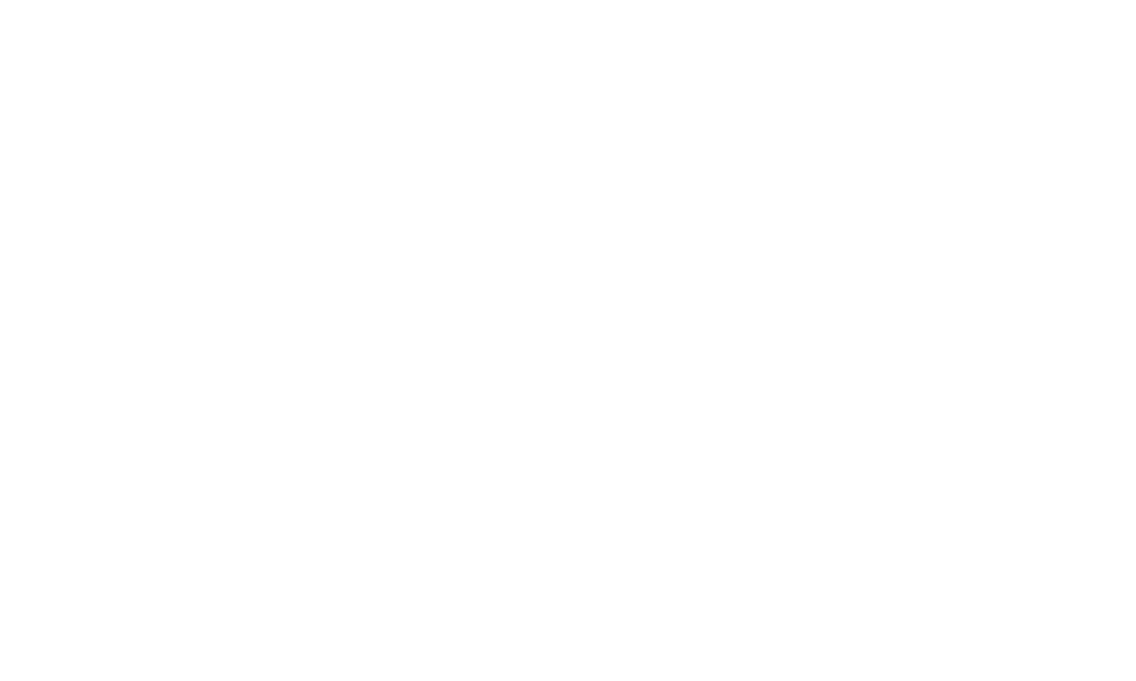 Air Asia