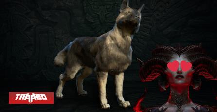 Diablo 4 ahora tiene lindas mascotas que te siguen a todas partes: una clase no debería usarlas ahora
