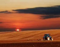 Imagem referente à notícia: Seca e queimadas aumentam preço do café e açúcar; agronegócio já sente o impacto