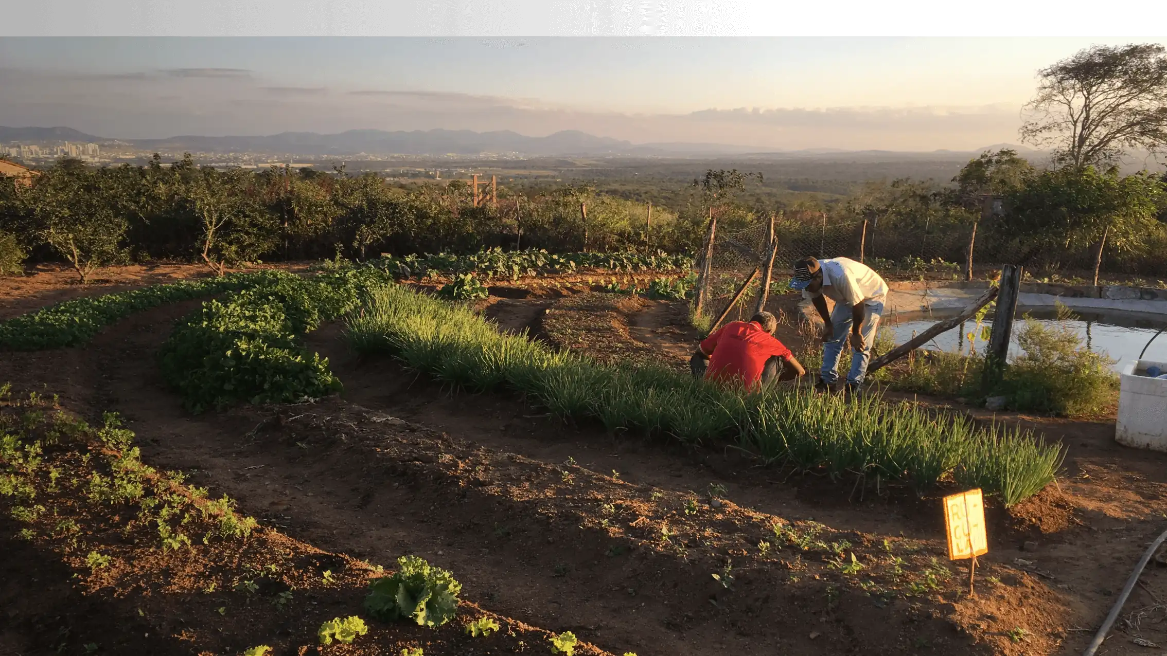 CLIMA Farming Image