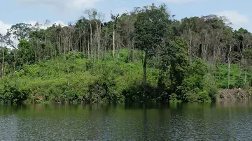 Conservation site trees lake