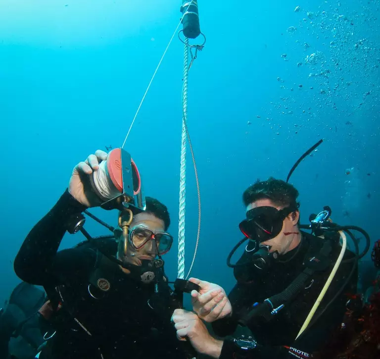 marine tagging