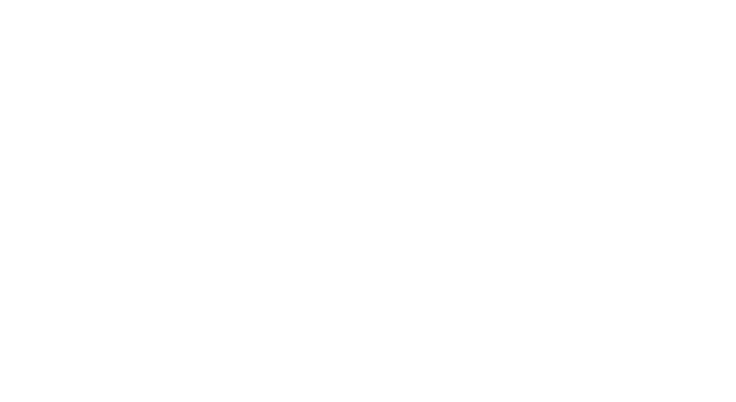 D+ Logo