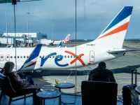 SYDNEY, AUSTRALIA. NewsWire Photos.
July 30, 2024.
Generics of Rex airlines at Sydney domestic airport. The Australian airline is forced into a trading halt amid questions about the airlineÃs future.
Picture: NewsWire / Jeremy Piper