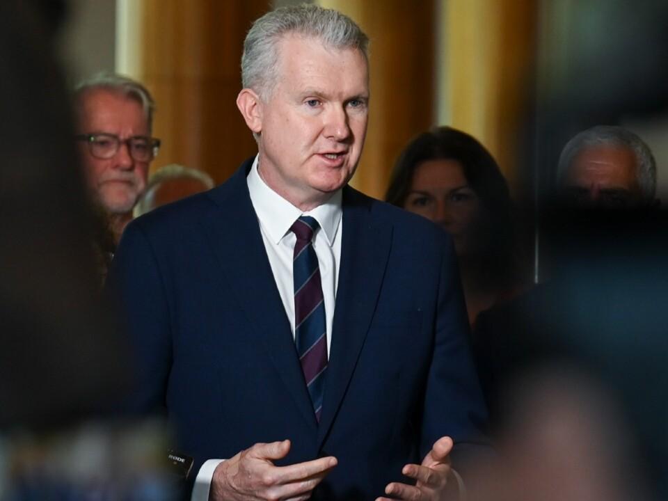 ‘Give me a break’: Tony Burke under scrutiny over previous Immigration Minister role