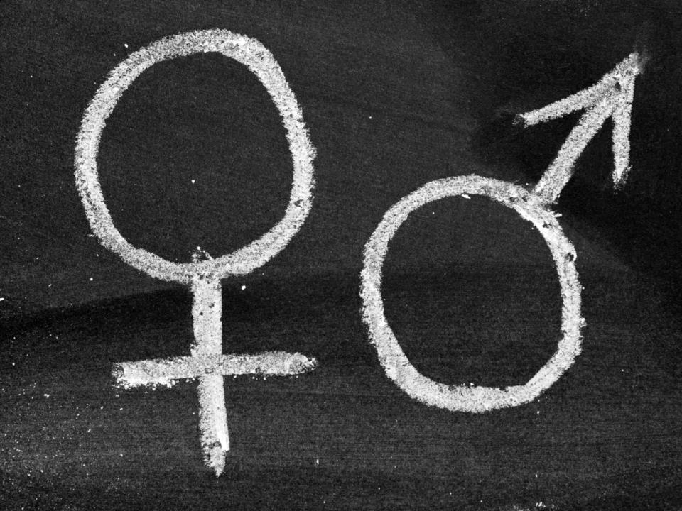 Gender dysphoria information is 'influenced' by activists