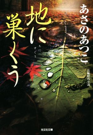 地に巣くう 弥勒シリーズ 長編時代小説 光文社文庫