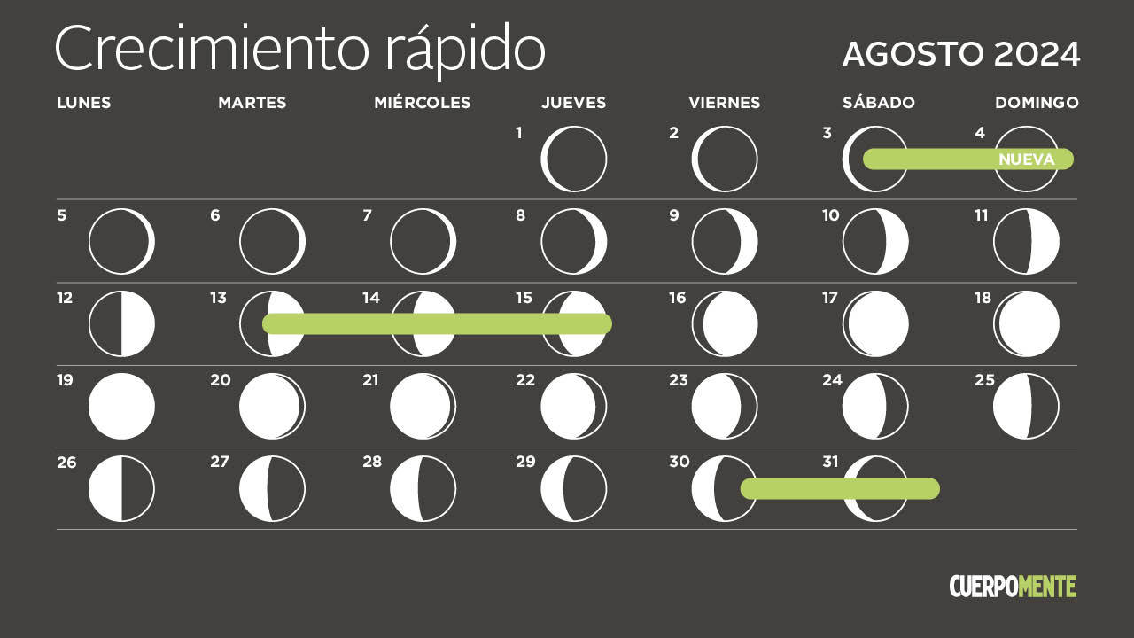 calendario lunar agosto 2024 corte pelo crecimiento rapido