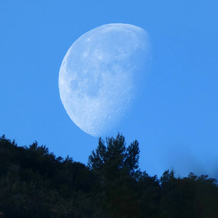 Luna hoy: calendario lunar del 26 de agosto al 1 de septiembre