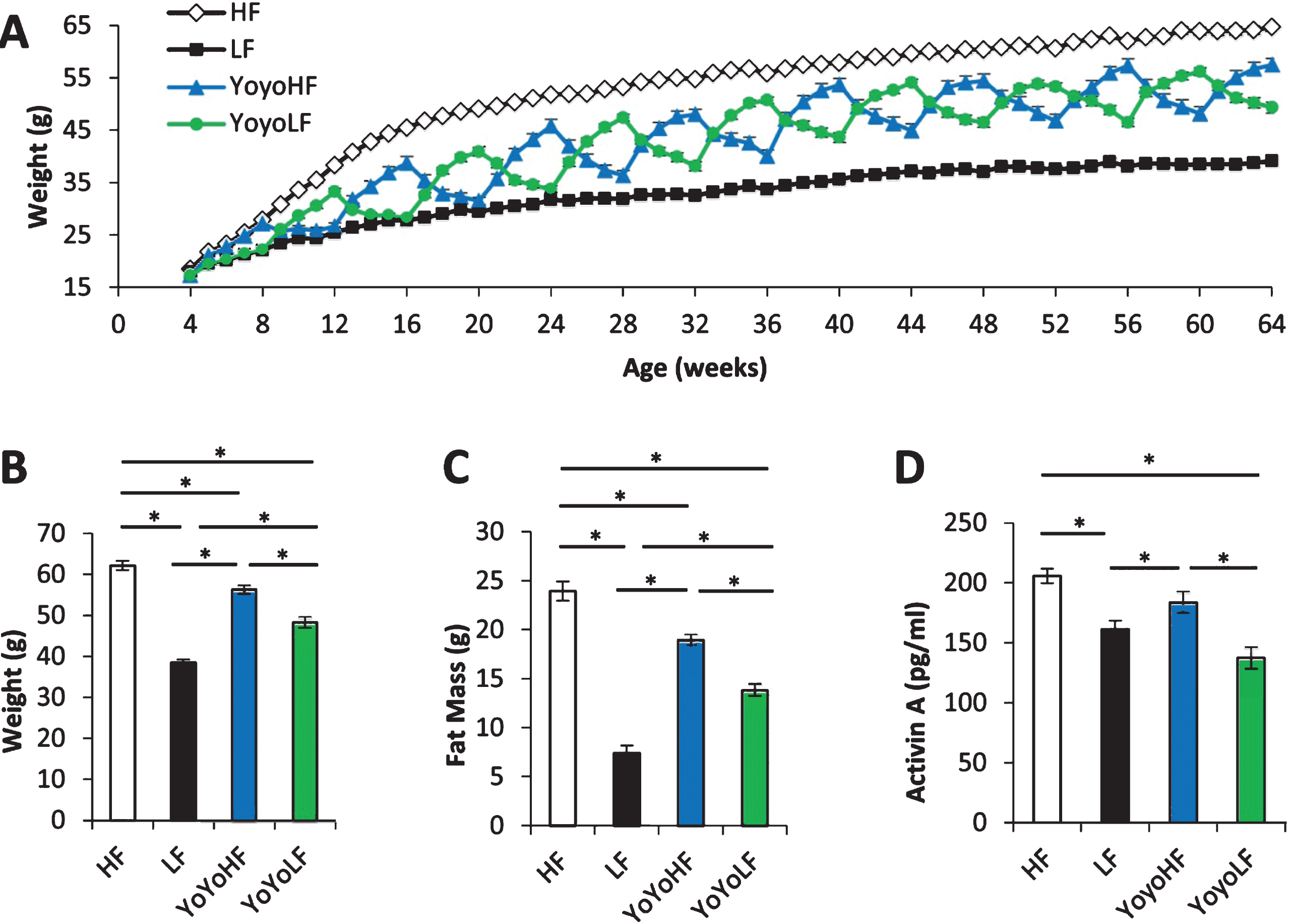 Physiological data from weight-cycled mice. (A) Body weight over time (n = 10–40). (B) Body weight at 15mo just prior to dissection (n = 10/group). (C) Fat mass at 15mo just prior to dissection (n = 10). (D) Circulating plasma levels of activin A (n = 26–35). HF fed mice (white), LF fed mice (black), YoyoHF (blue or dark grey), YoyoLF (green or light grey). Data are expressed as mean±SEM. *Indicates p < 0.05.