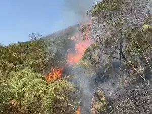 Tarcísio admite que incêndios em São Paulo vão piorar por causa do clima