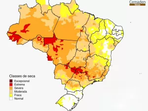 Por que seca histórica do país 'poupa' o semiárido com chuva acima da média