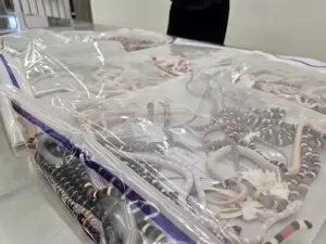 Homem é preso ao tentar entrar na China com 104 cobras vivas na calça