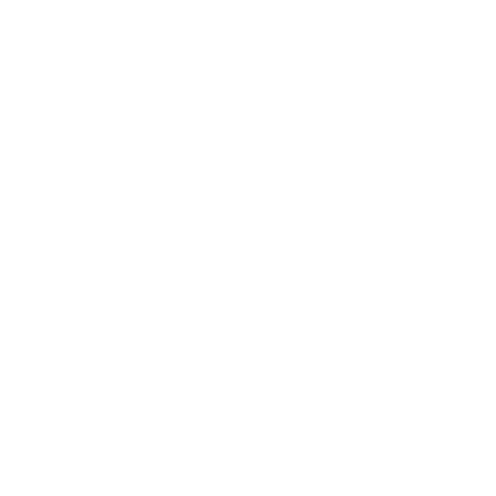 Delaware Division of Corporations (Corp)