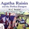 Cover of: Agatha Raisin and the Perfect Paragon