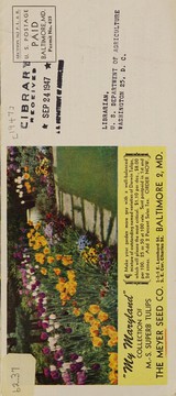 Cover of: Bulbs to plant this fall