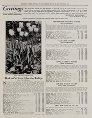 Cover of: Quality bulbs for autumn 1933