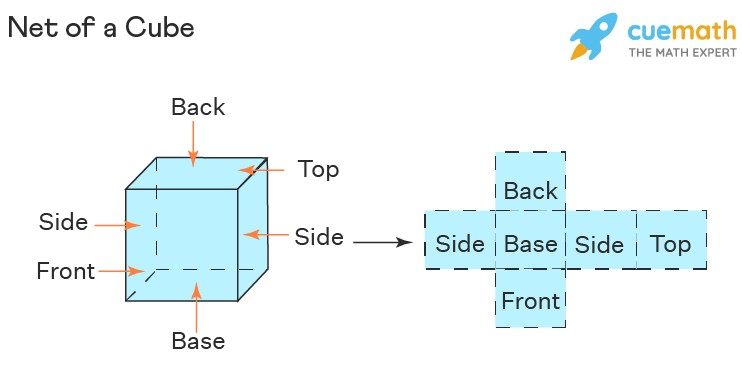 The net of a cube is the 2 dimensional representation of all faces or squares of cube.