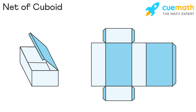 Cuboid Net has 6 rectangles where every two opposite rectangles are parallel to each other.