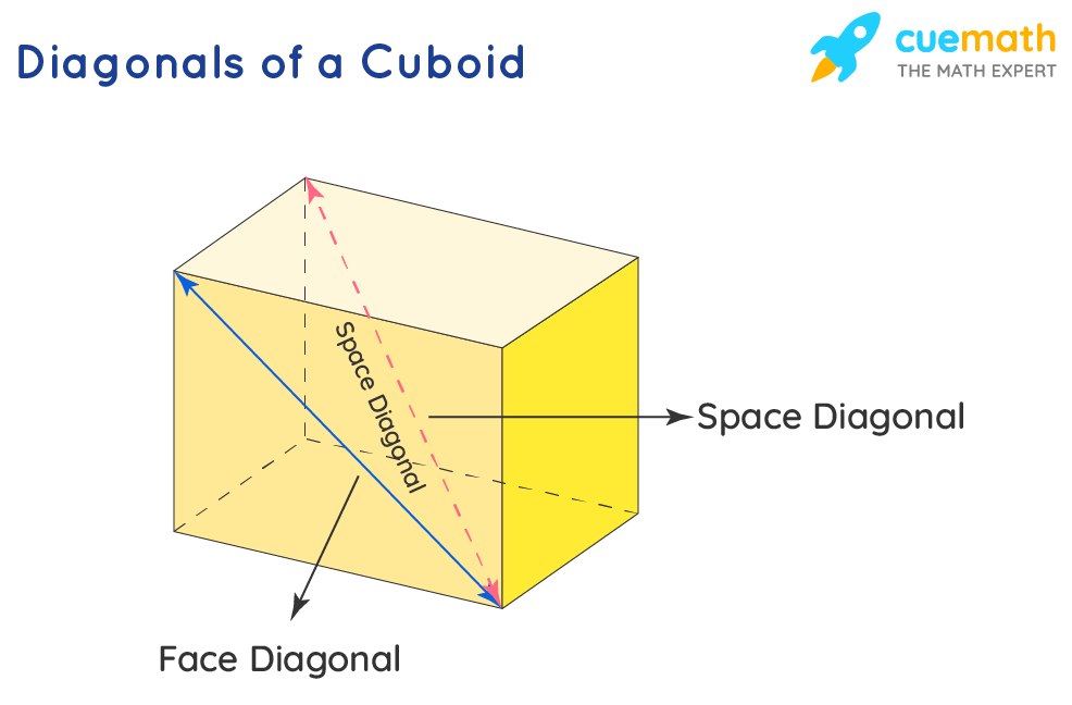 Diagonals of a cuboid are of two types. One is space diagonal and the other is face diagonal