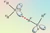 A diagram showing the hydrogen bond between two water molecules