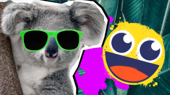 Koala Facts Thumbnail