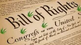 Cannabis leaves superimposed on the Bill of Rights | JZS