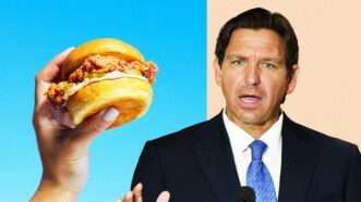 Ron DeSantis next to a lab-grown chicken sandwich. | Illustration: Lex Villena; Michele Eve Sandberg