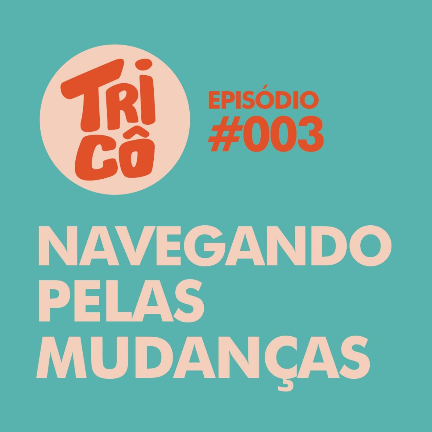 #003 - Navegando pelas mudanças