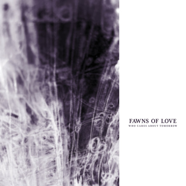 Fawns of Love - Who Cares About Tomorrow