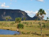 Safári Camp no Jalapão - O Coração do Brasil