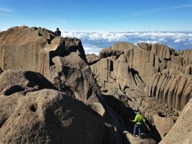 Parque Nacional do Itatiaia - Agulhas Negras e Prateleiras