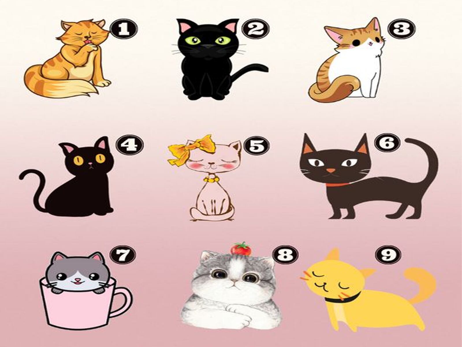 TEST VISUAL | ¿Eres un amante de los gatos? En esta prueba divertida y reveladora, te invito a explorar la conexión entre tu preferencia felina y tus rasgos ocultos de personalidad.