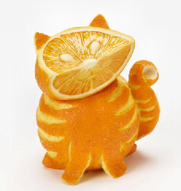 Creative Fruit Animal Art