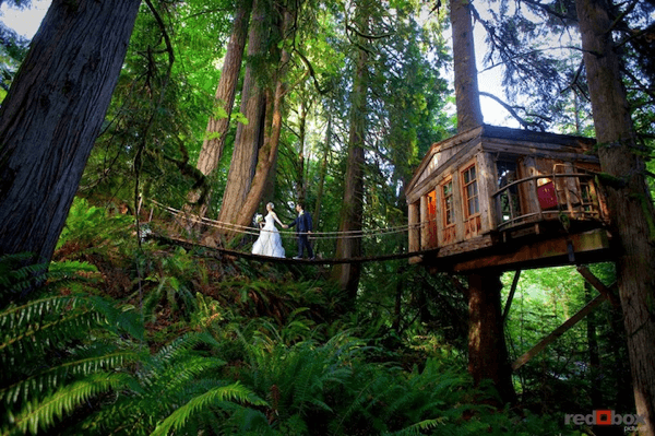 TreeHouse Point