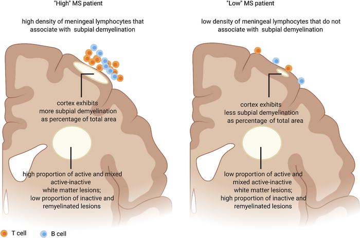 graphical abstract