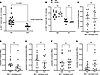 Meningeal myeloid cells are enriched in MS but not topographically linked t