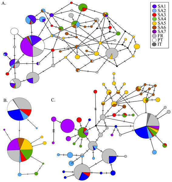 MJN of nuclear Prmt6 (A), AR (B) and Mastl (C) sequence data from native and invasive X. laevis populations.