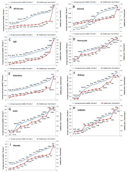 Ranking of candidate housekeeping genes in adult tissue.