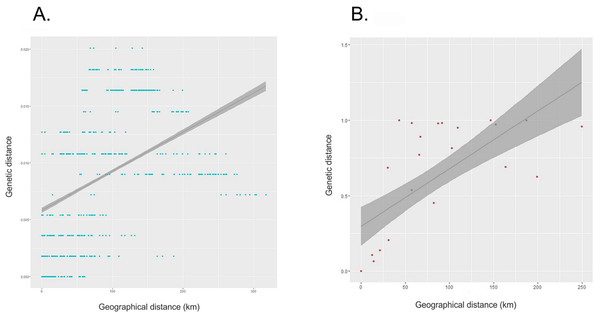 Correlation between genetic and geographic distances.