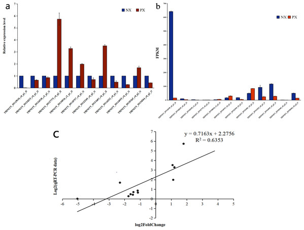 qRT-PCR verification of selected genes in the two Pogostemon cablin chemotypes.