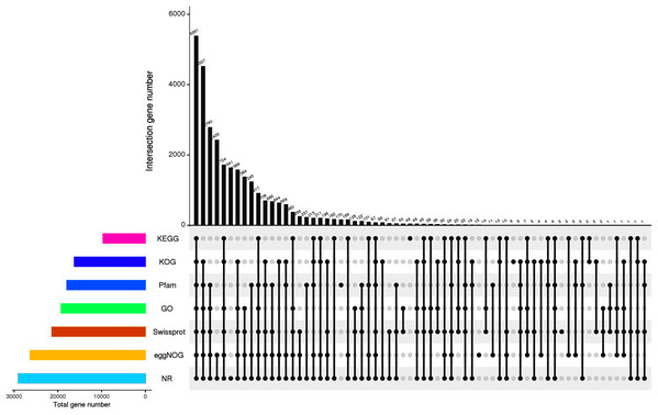 Annotation information obtained from seven different databases.