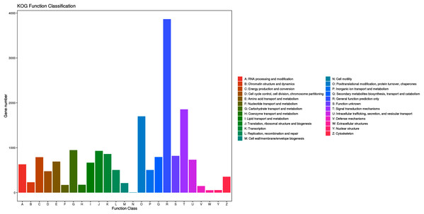 KOG functional classification of assembled unigenes.