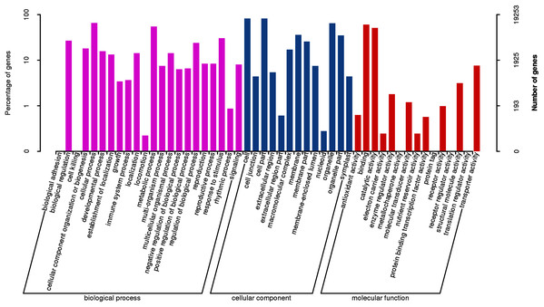 GO functional classification of assembled unigenes.