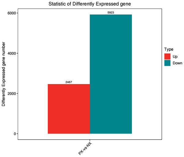 Statistics of differentially expressed genes between PX and NX.