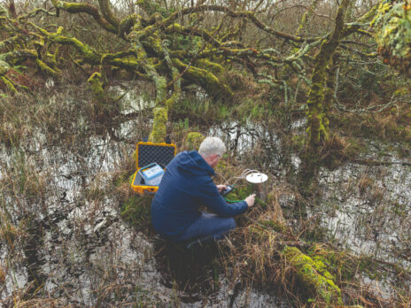 Peatlands are nature's unsung climate warriors