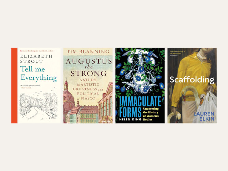 From Lauren Elkin to Elizabeth Strout: new books reviewed in short