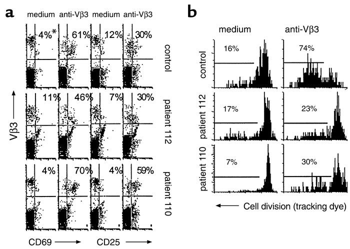 Activation marker expression and cell division. (a) CD8-depleted PBMCs w...