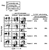 Dilution of responder cells results in proliferation defects in cells from